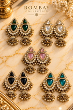 Load image into Gallery viewer, Aarohi